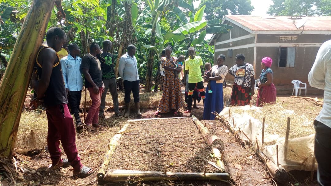Understanding Soil Fertility and Crop Nutrition