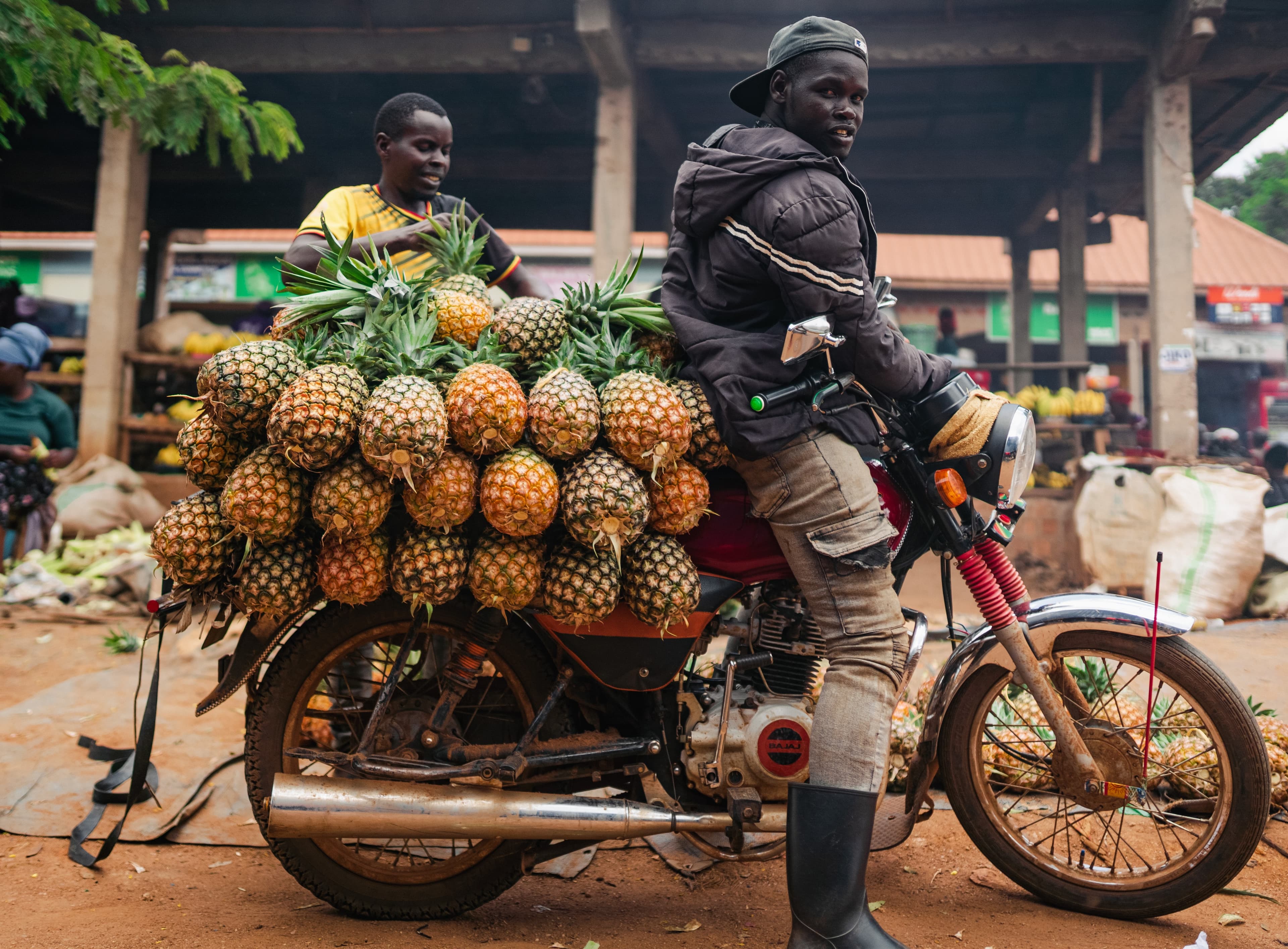 Reducing Post-Harvest Losses on Your Farm